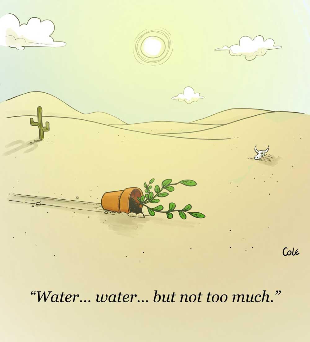 Colourization samples