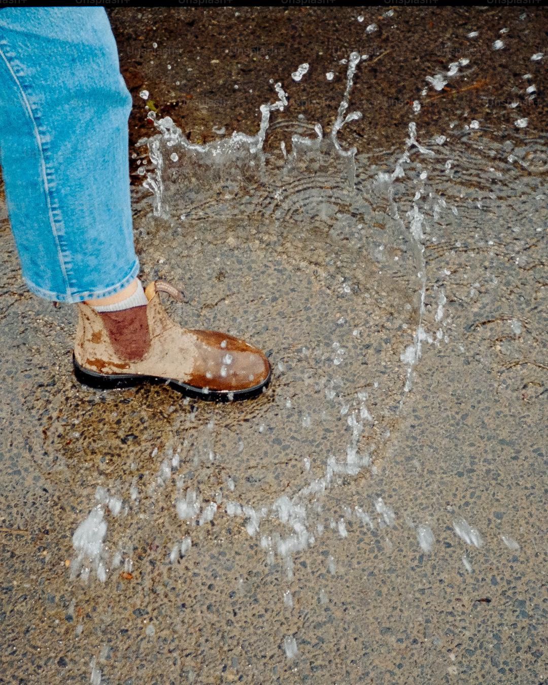 Macro image