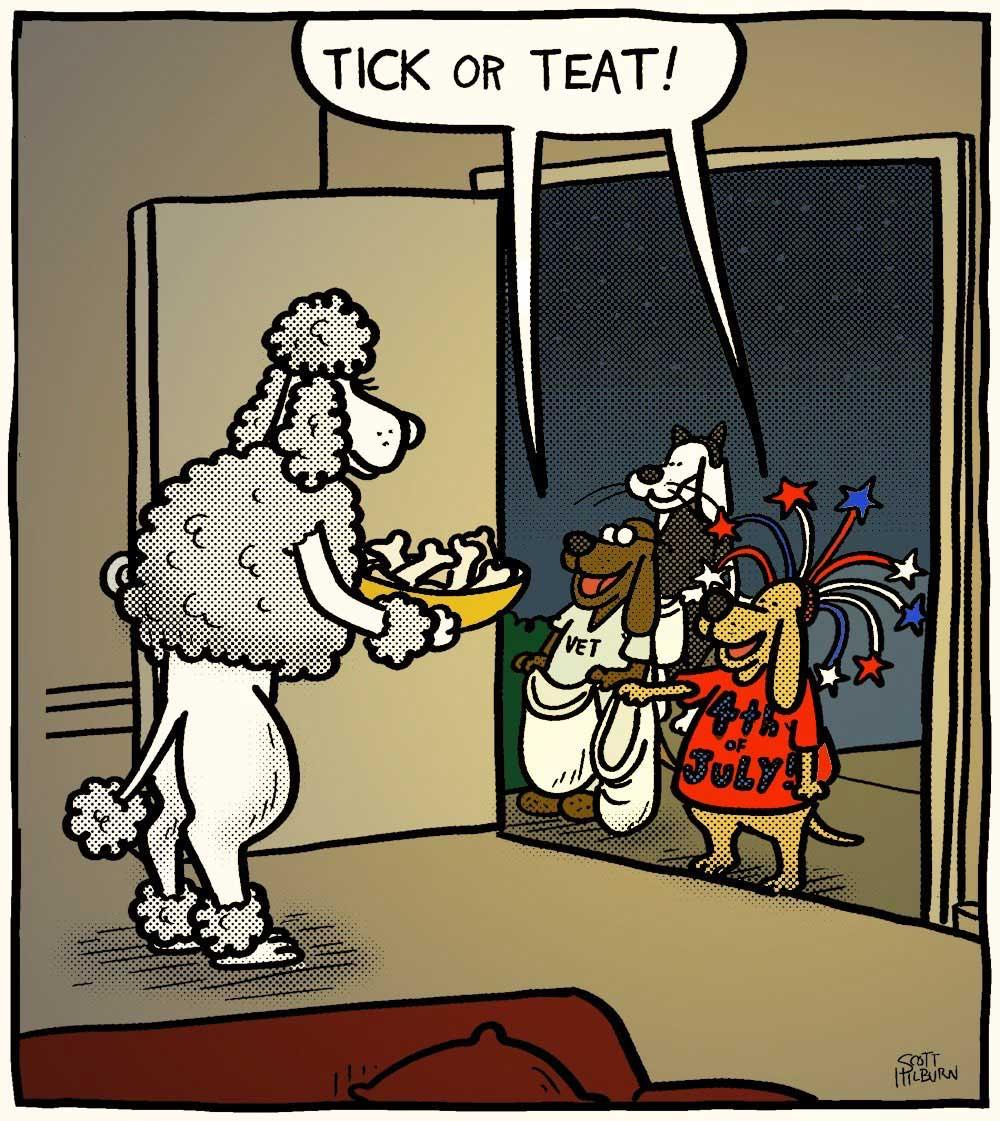 Colourization samples