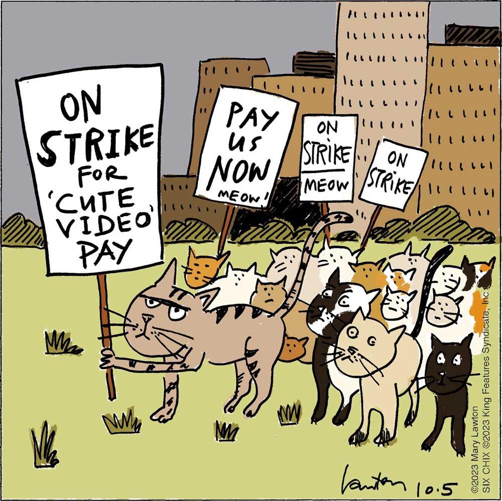 Colourization samples