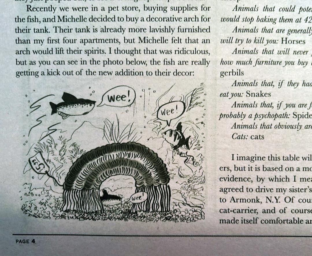 three fish swim around a new rainbow-shaped toy in a fish tank, saying wee!