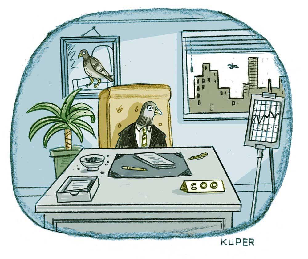 Colourization samples